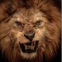 Beware of the Lions of Tribalism